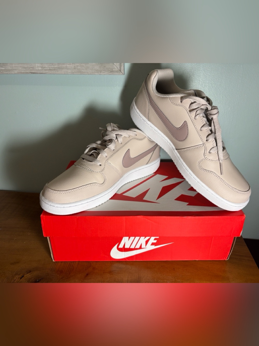 Nike Woman’s Low-Top Sneakers